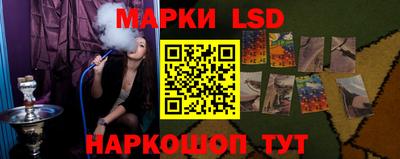 шишки Бийск