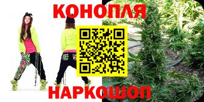 шишки Бийск
