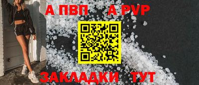 шишки Бийск