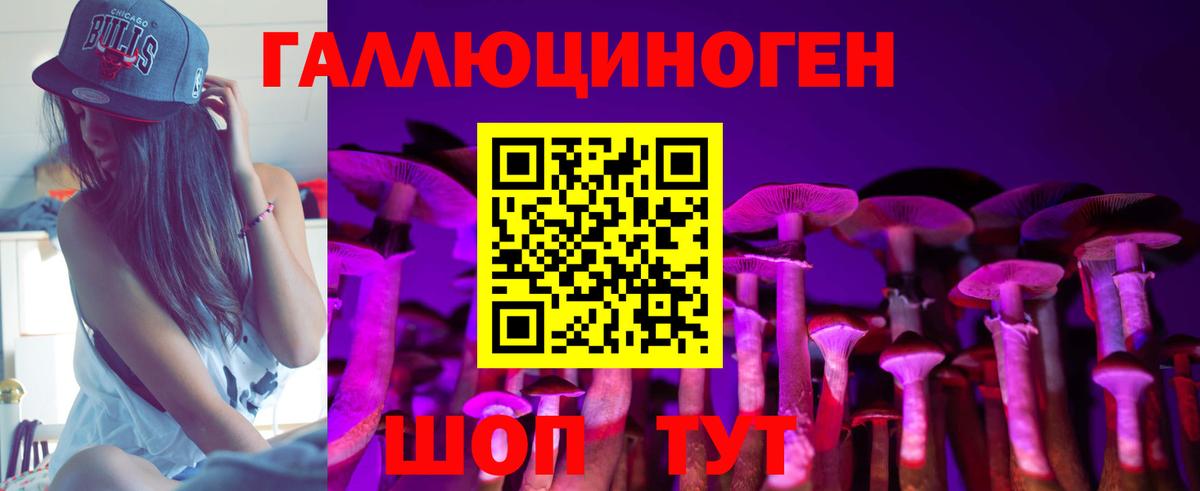Дивногорск  Псилоцибиновые грибы Magic Shrooms  Вход с VPN  Псилоцибиновые грибы мухоморы 