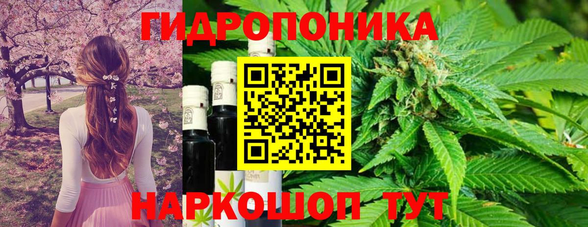 Каннабис планчик Дивногорск